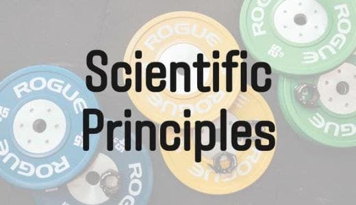 筋力トレーニングの科学的原則 Scientific Principles of Strength Training